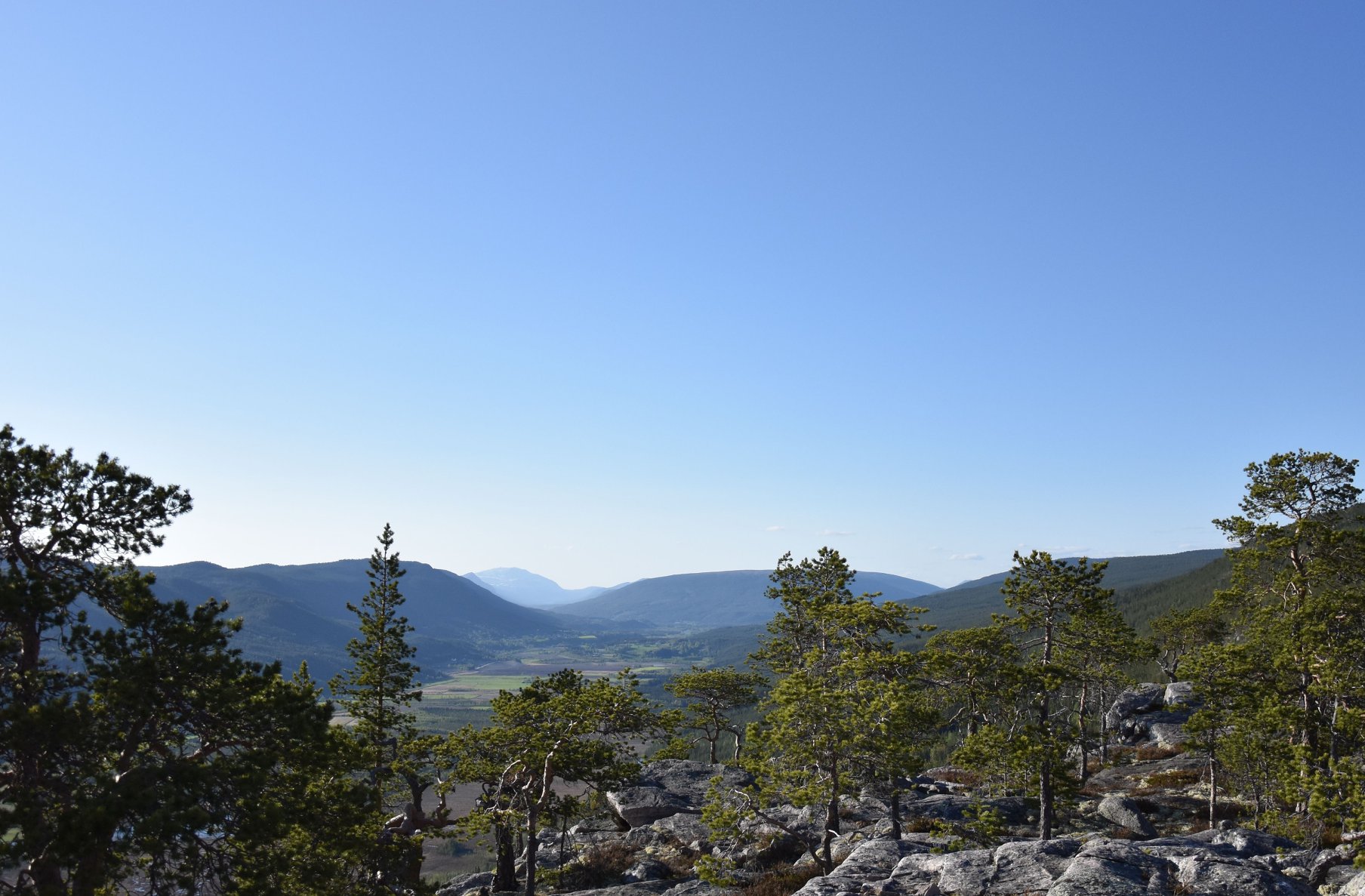 Rendalen natur